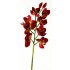 FL1666 - VELVET CYMBIDIUM CHERRY RED